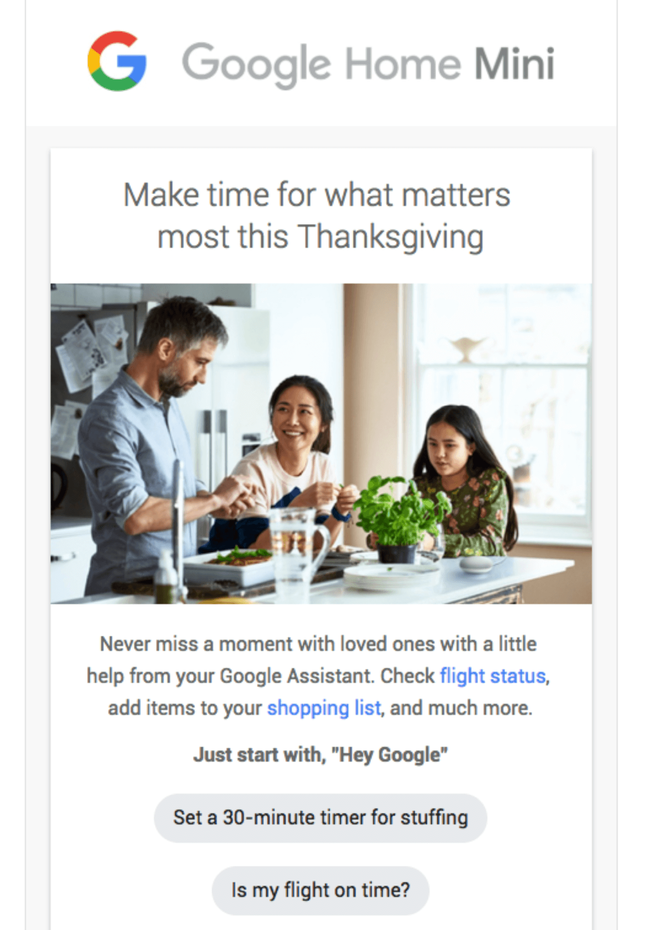 Google_Home_Mini_thanksgiving_email_example